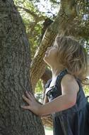 Cute, blonde toddler girl among the trees in the summer