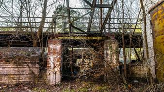 Nature Industry Abandoned