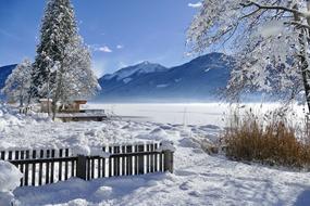 Snow Winter Cold