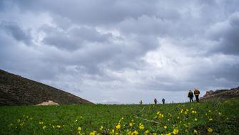 Landscape Cloud Plain