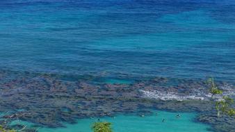 Beach Sea Water