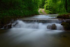 Long Exposure Bach Forest