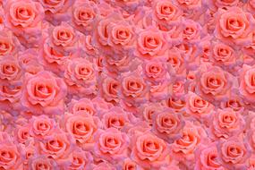 Texture Background Pattern