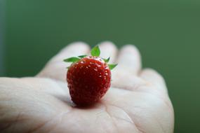 Straw Berry Fruit Red