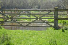 Fence Grass Nature