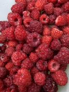 Raspberry Framboesa Nature