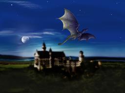Castle Dragons Night