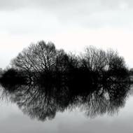 Nature Weather Season