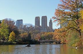 Central Park Garden New