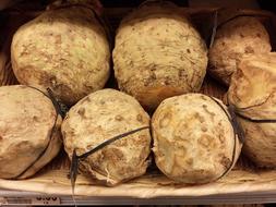 Fresh natural vegetables