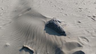 Waters Beach Coast