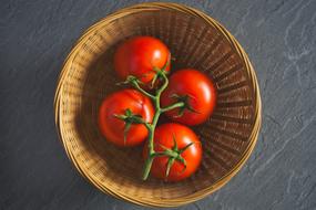 tasty tomatoes in a basket
