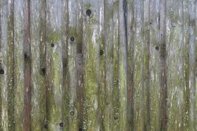 weathered Wooden Boards Gate