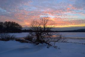 Sunset Winter Frozen