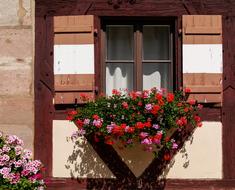 Architecture Window Building