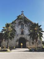 Church Tree Architecture