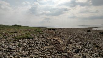 Beach Nature
