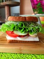 Vegetable sandwich is delicious