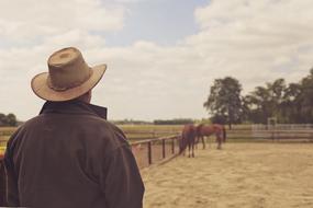 Cowboy Hat Man