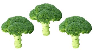 Fresh broccoli on a white background