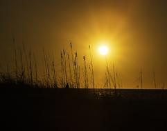 Sunset Sun Dawn