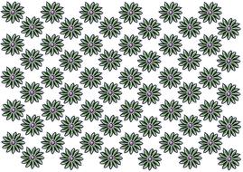graphic pattern flowers