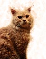 cute cat mammal portrait