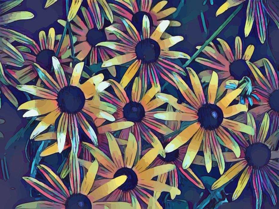 spring floral black eyed susan
