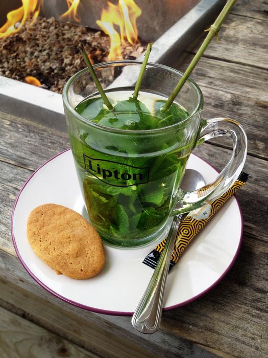 Peppermint Tea Mint macro