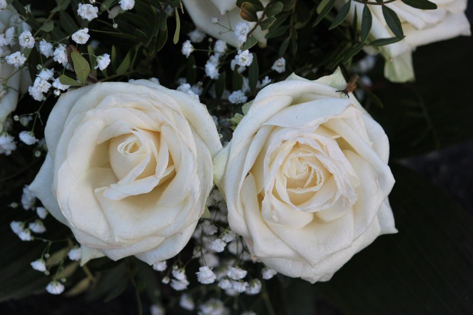 Rose Flower Wedding