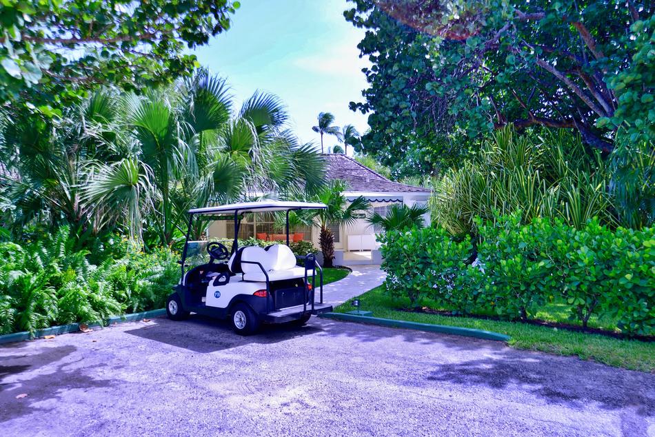 Golf Kart Tree