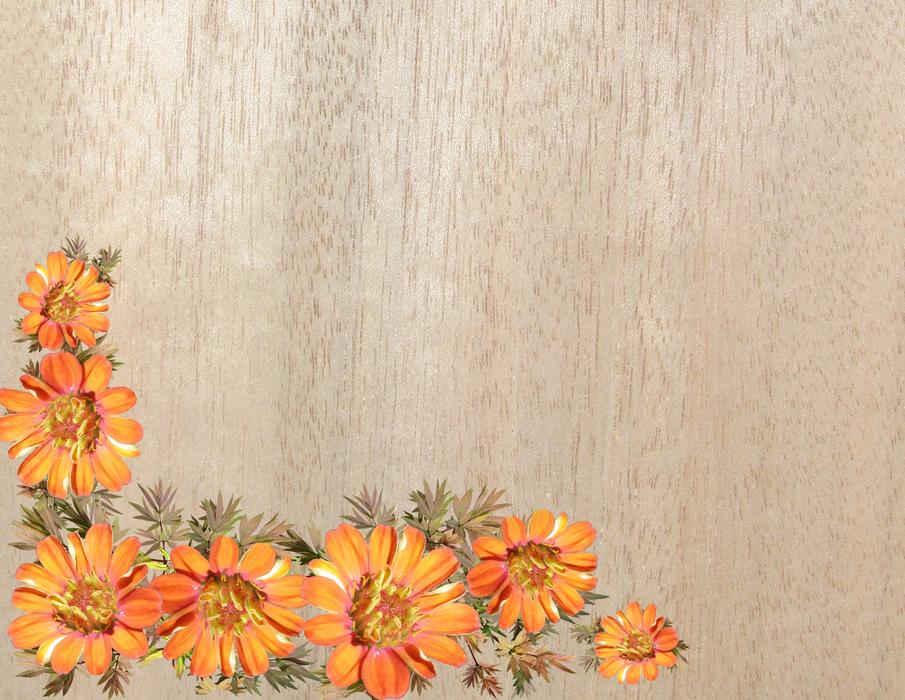 Flower Nature Decoration
