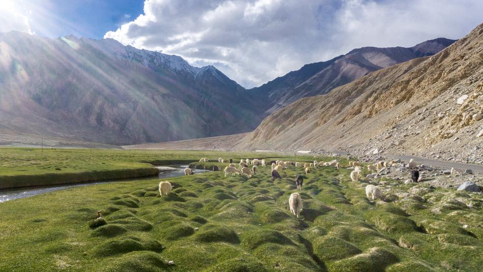 Nature Mountain Landscape
