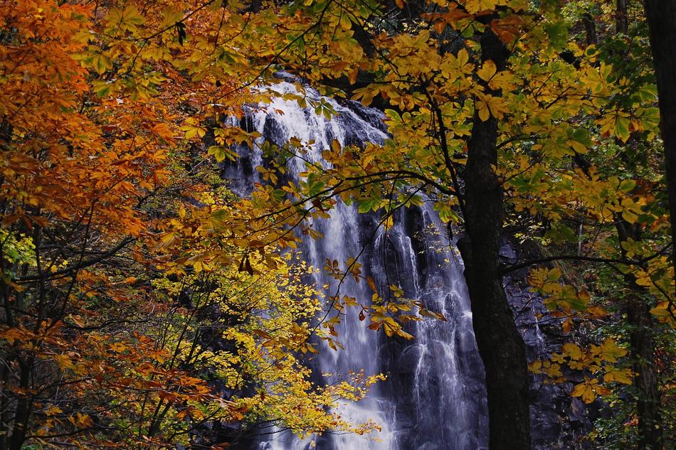 Japan Natural Landscape