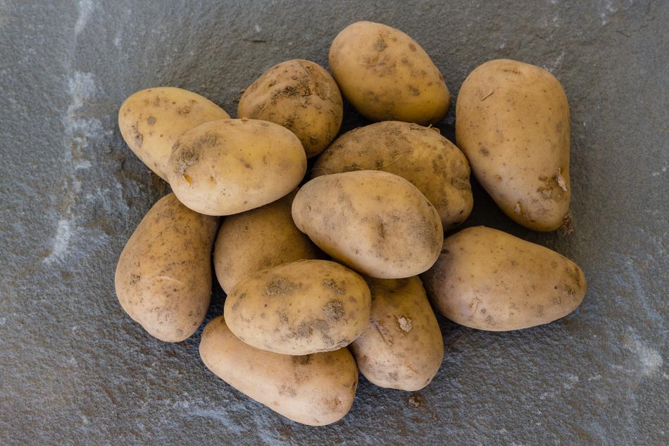 Unpeeled dirty potatoes