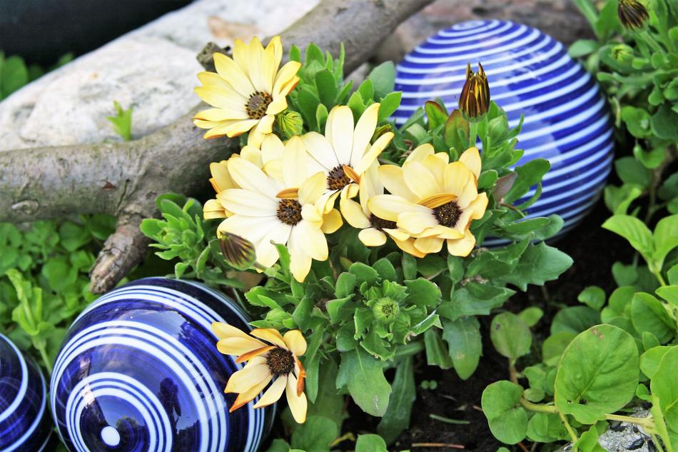 blue balloons with beautiful flowers on the bush