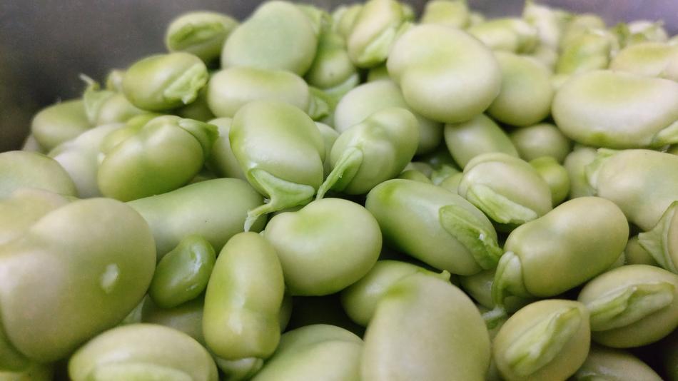 ripe juicy vegetables