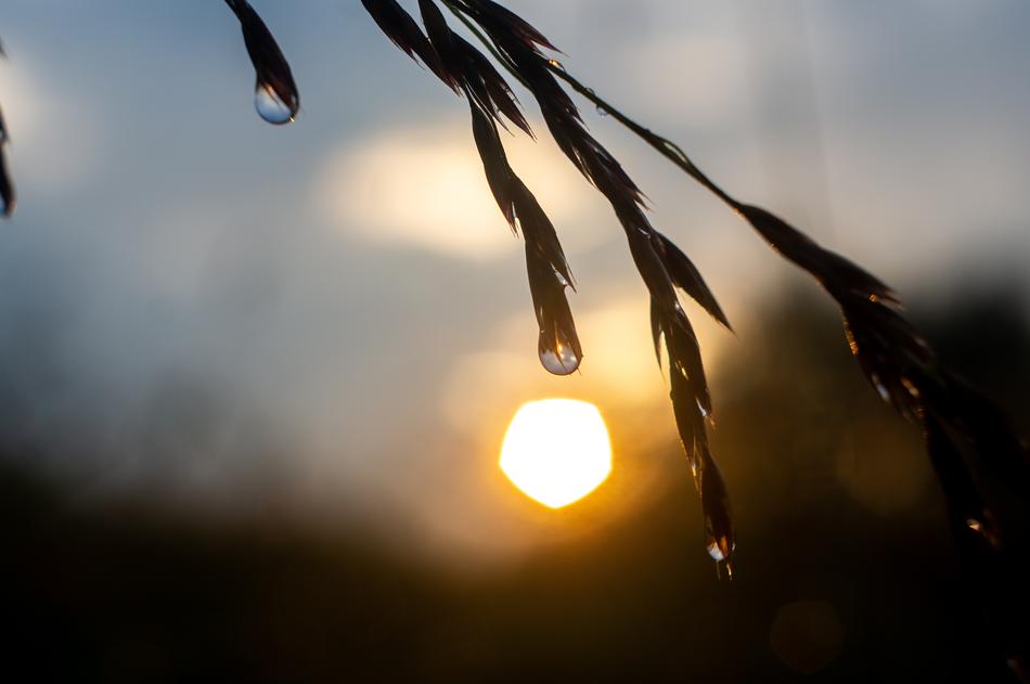 Water Drip Drop Of