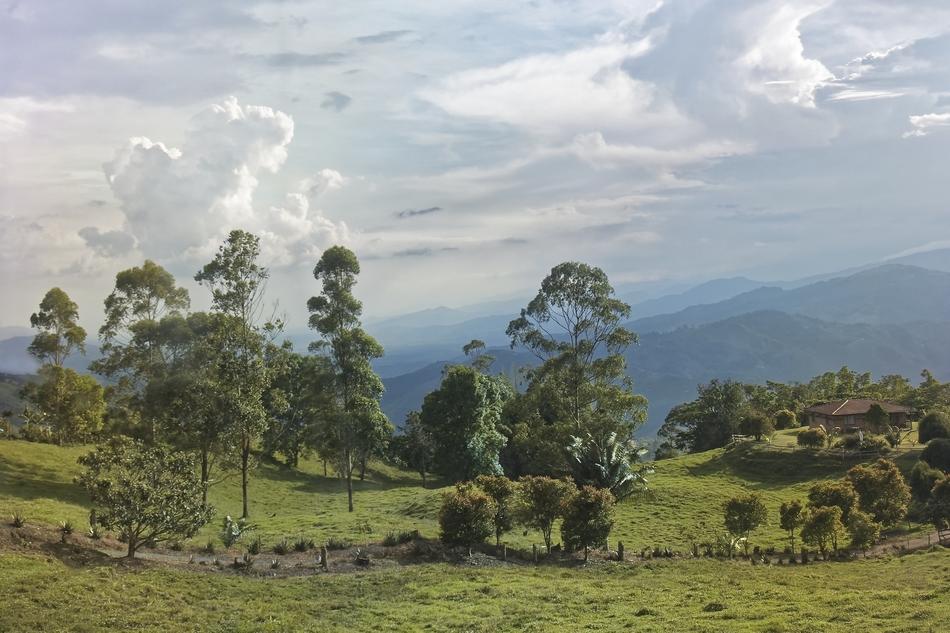 Colombia Landscape Mountains