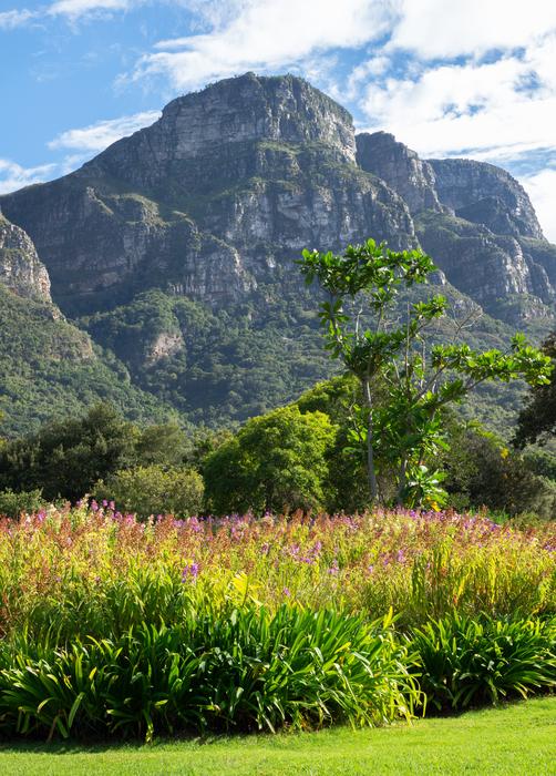 big rock with trees landscape