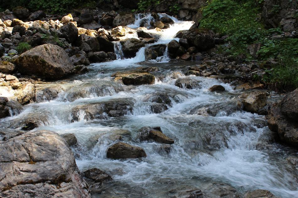 Waters River Nature