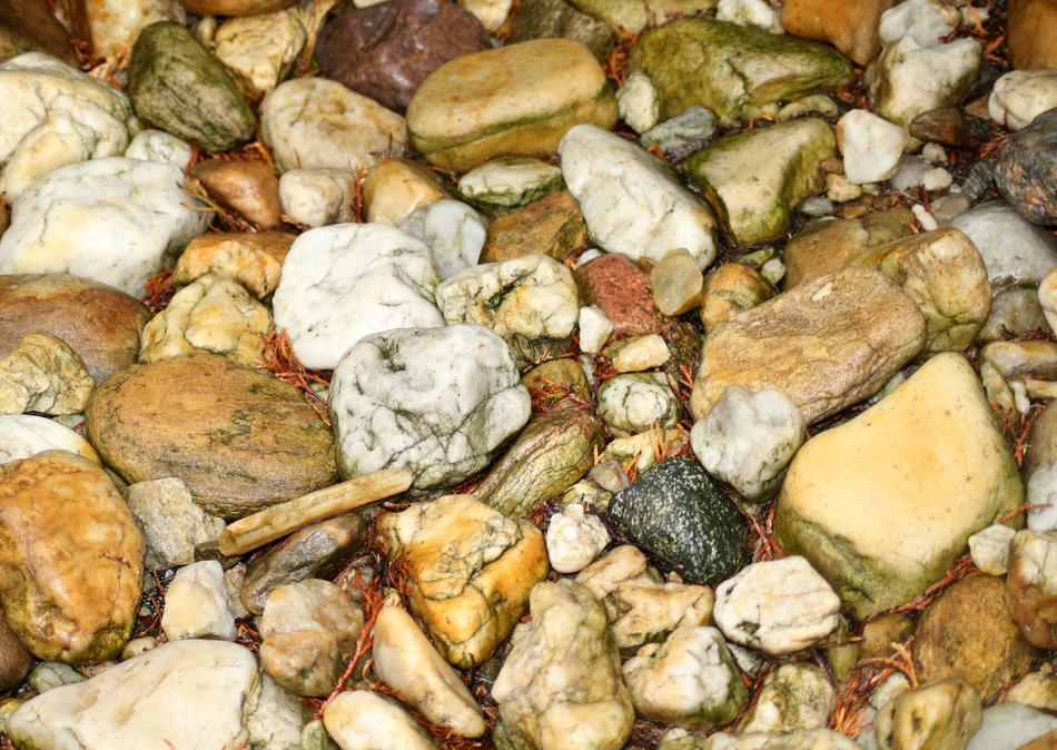 The Stones Wet After Rain