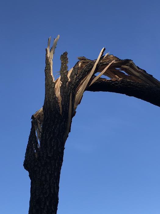 Wood The Destruction Of Storm