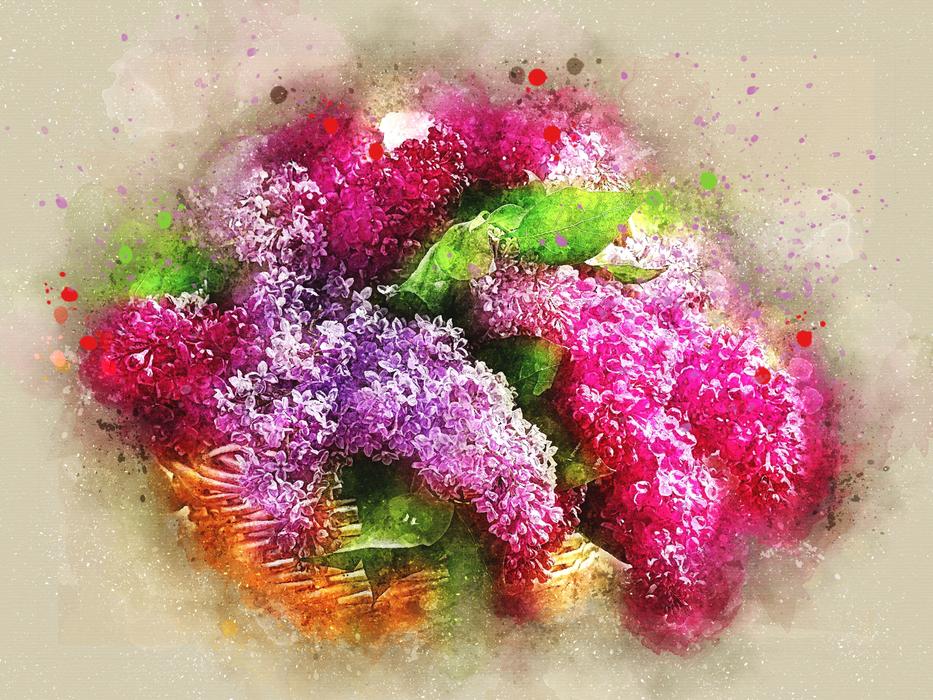 watercolor drawing of flowers