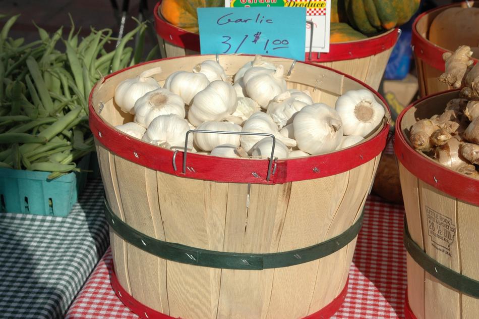 fragrant garlic in a wooden bucket