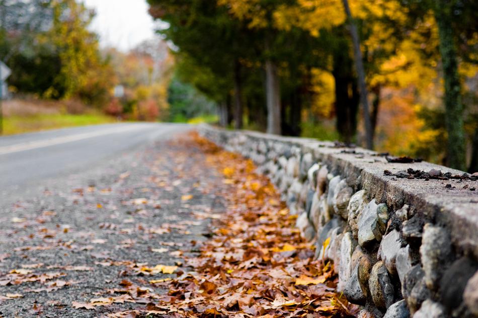 Fall Nature Road