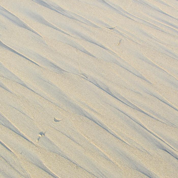 Pattern Texture Abstract