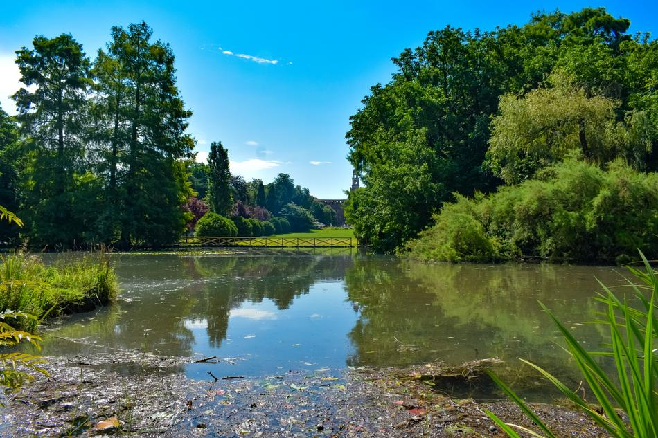 Park Lake Forest