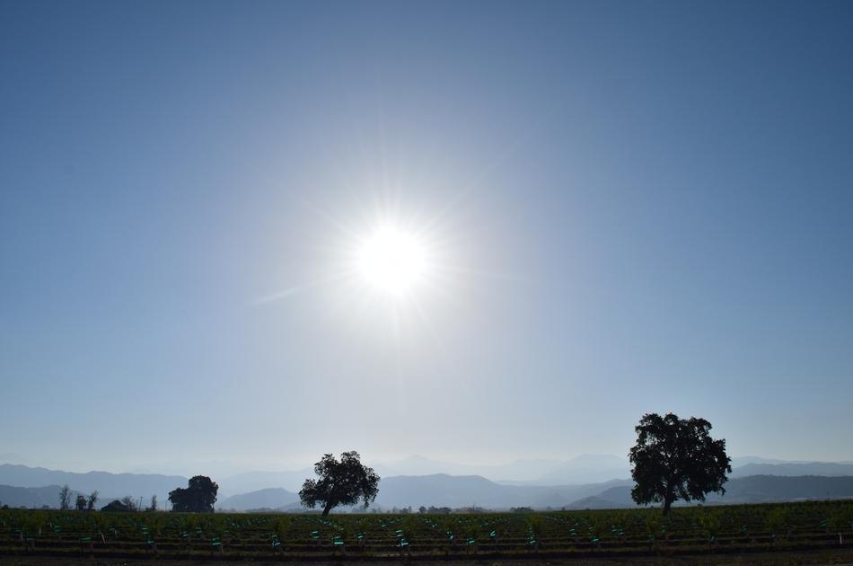 sunshine in a blue sky