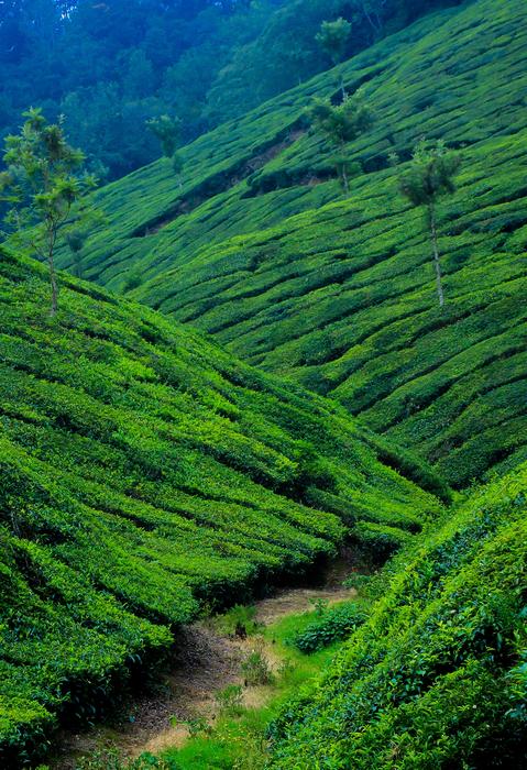 Nature Landscape Travel